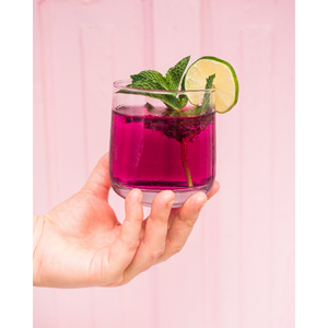 Blueberry Mint Infusion Kit