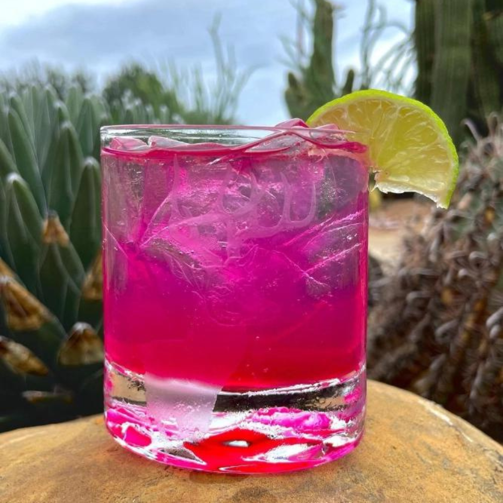 Brushfire Prickly Pear Syrup
