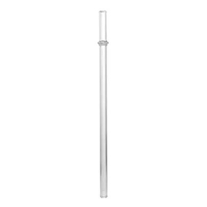 Glass Straight Straw (Clear)