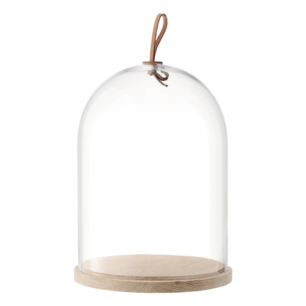 LSA Ivalo Cloche Dome & Ash Base