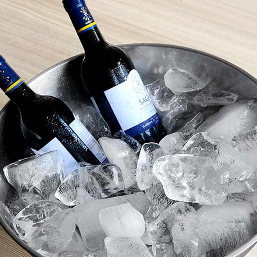 Stainless Steel Champagne Bowl