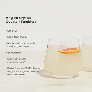 Viski Raye Crystal Tumblers (set of 2)