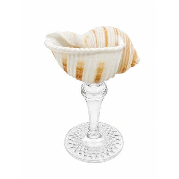 Mini Tun Cocktail Shell