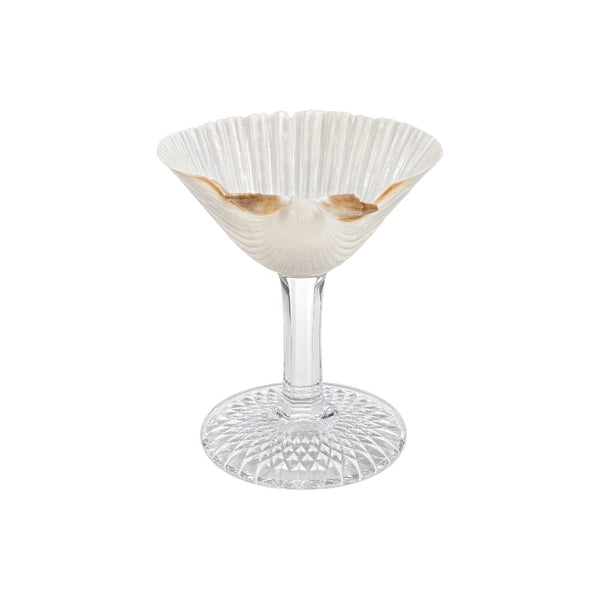 Scallop Shot Shell