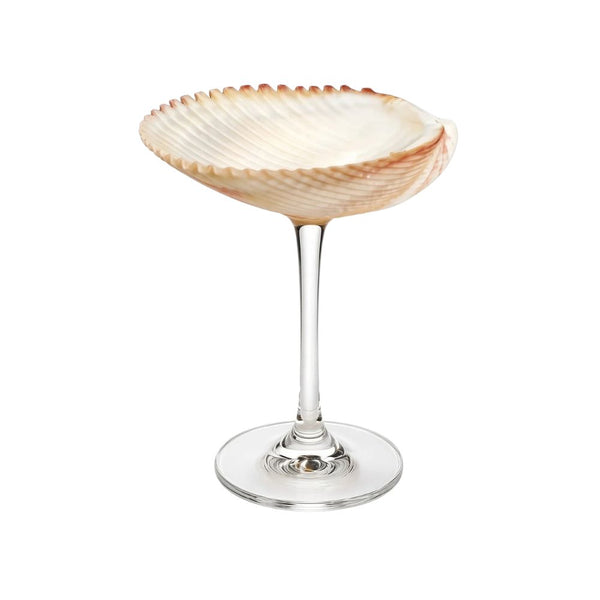 Sunset Mini Cocktail Shell