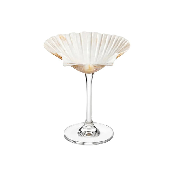 Wide Scallop Cocktail Shell