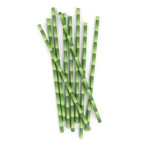 Kikkerland Bamboo Paper Straws
