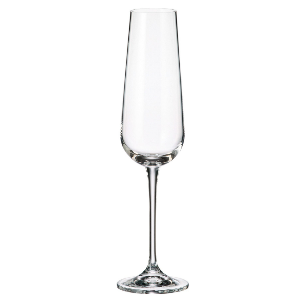 Amundsen Champagne Flute