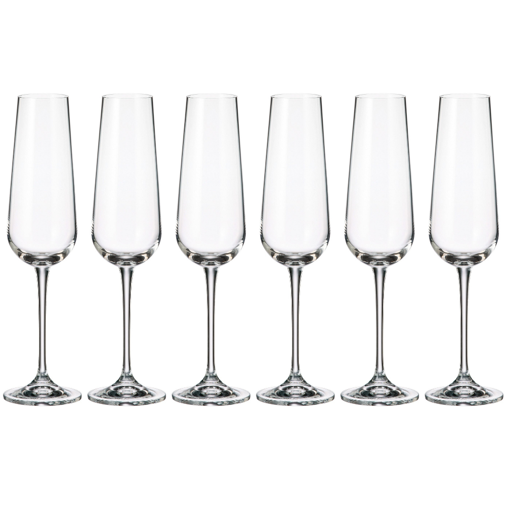 Amundsen Champagne Flute (set of 6)
