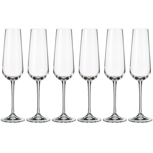 Amundsen Champagne Flute (set of 6)