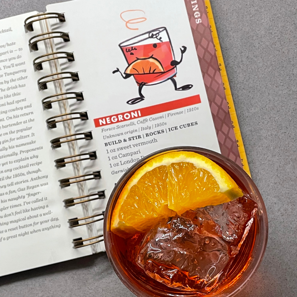 Home Bar Basics (And Not So Basics): Over 200 Essential Recipes for Slings & Sours, Grogs & Nogs