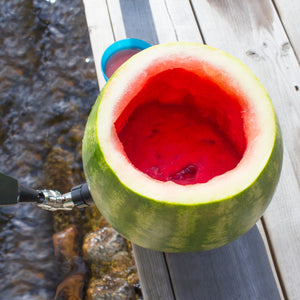 Watermelon Keg Tapping Kit