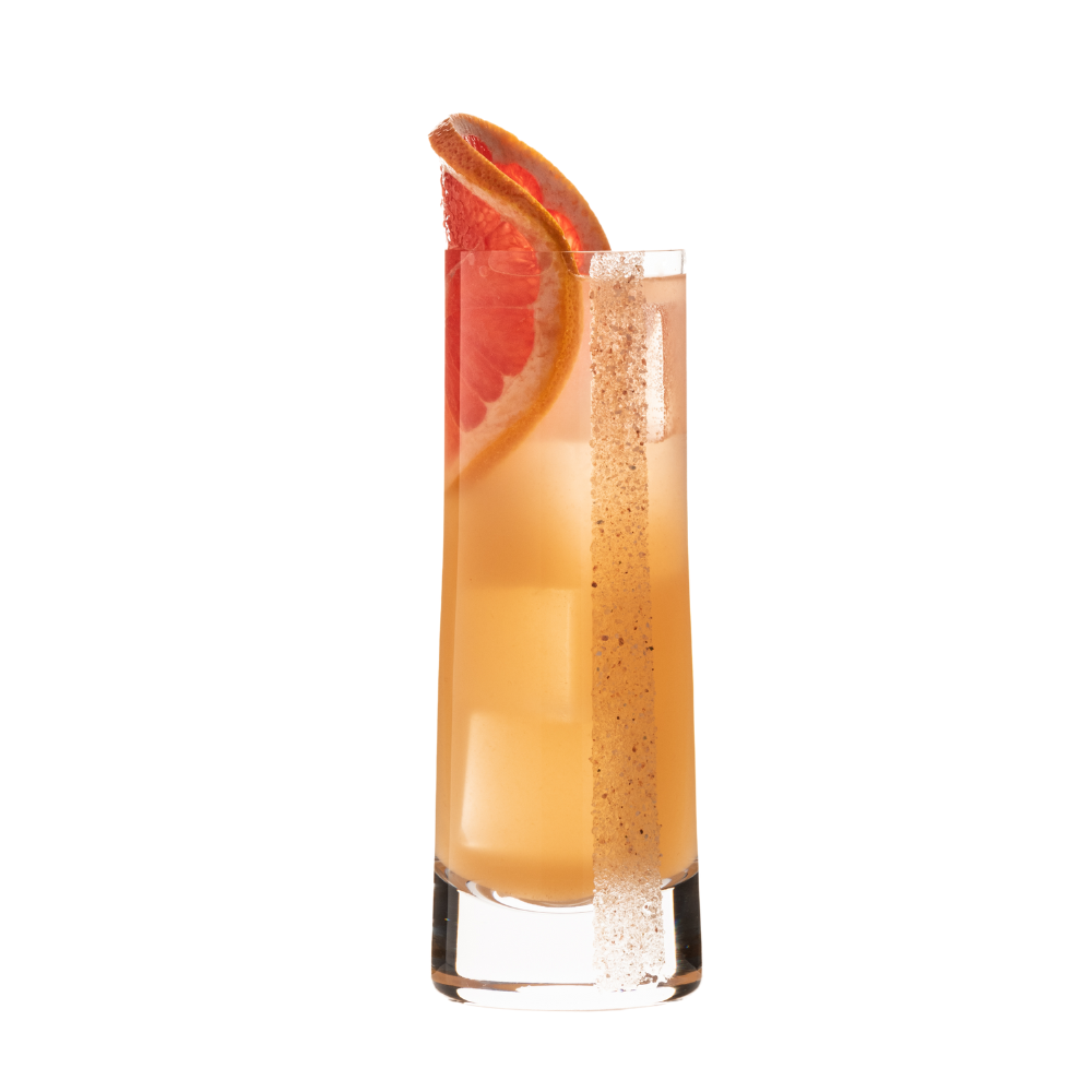 LSA International Gin Highball Glasses