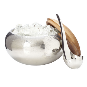 Scoop Ice Bucket