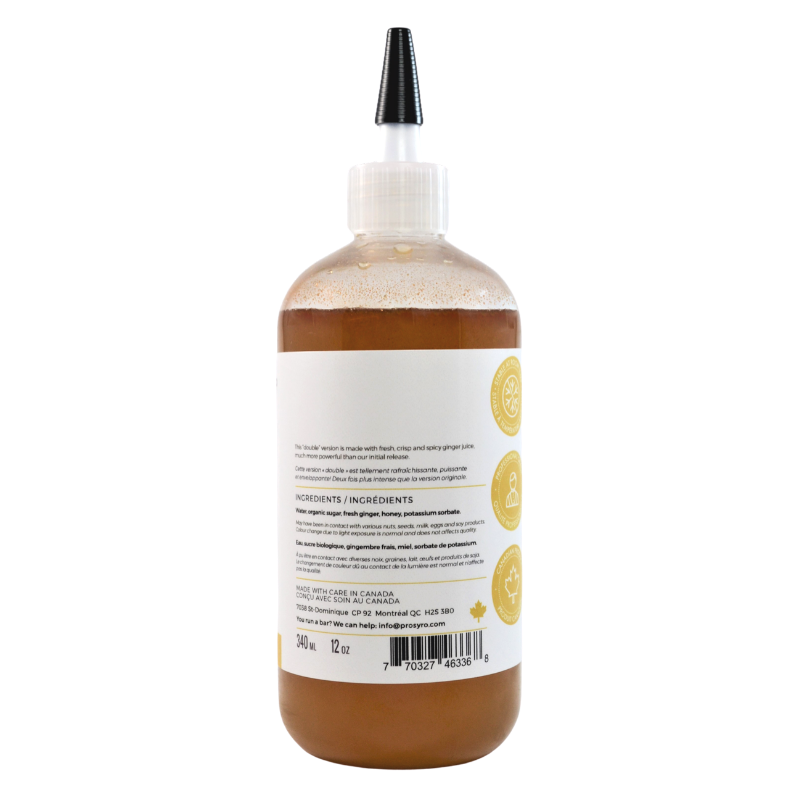 Prosyro Double Ginger Syrup