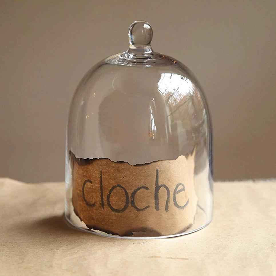 Mini Cloche