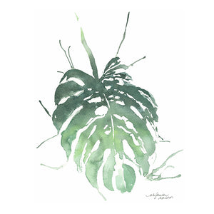 Monstera Greeting Card